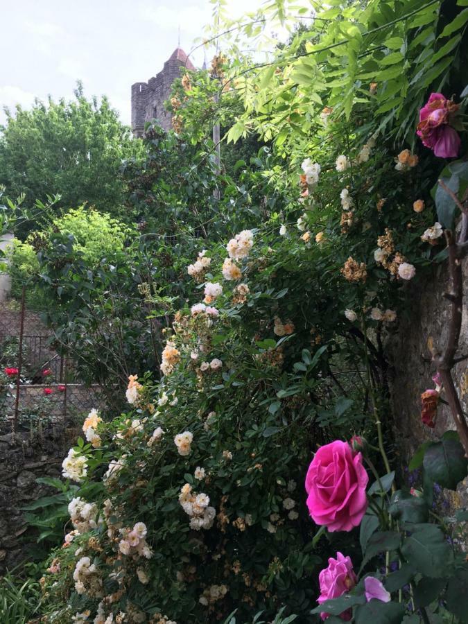 Cote Remparts Carcassonne